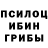 Галлюциногенные грибы GOLDEN TEACHER Alex Nashville