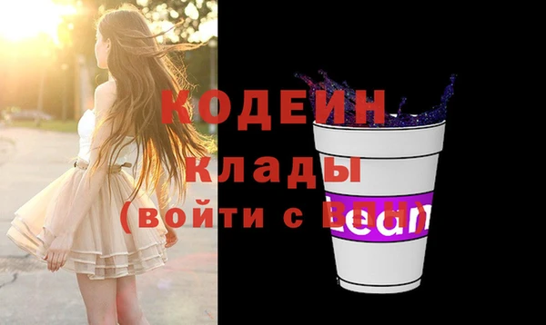 ПСИЛОЦИБИНОВЫЕ ГРИБЫ Гусев