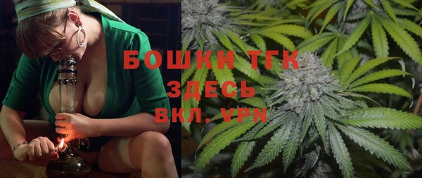 ГАЛЛЮЦИНОГЕННЫЕ ГРИБЫ Гусиноозёрск
