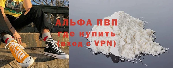 ПСИЛОЦИБИНОВЫЕ ГРИБЫ Гусев