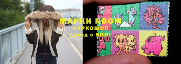 ПСИЛОЦИБИНОВЫЕ ГРИБЫ Гусев