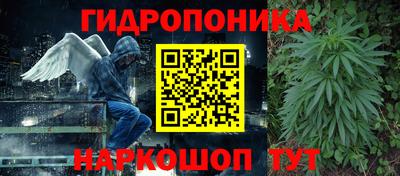 прущие грибы Гусев