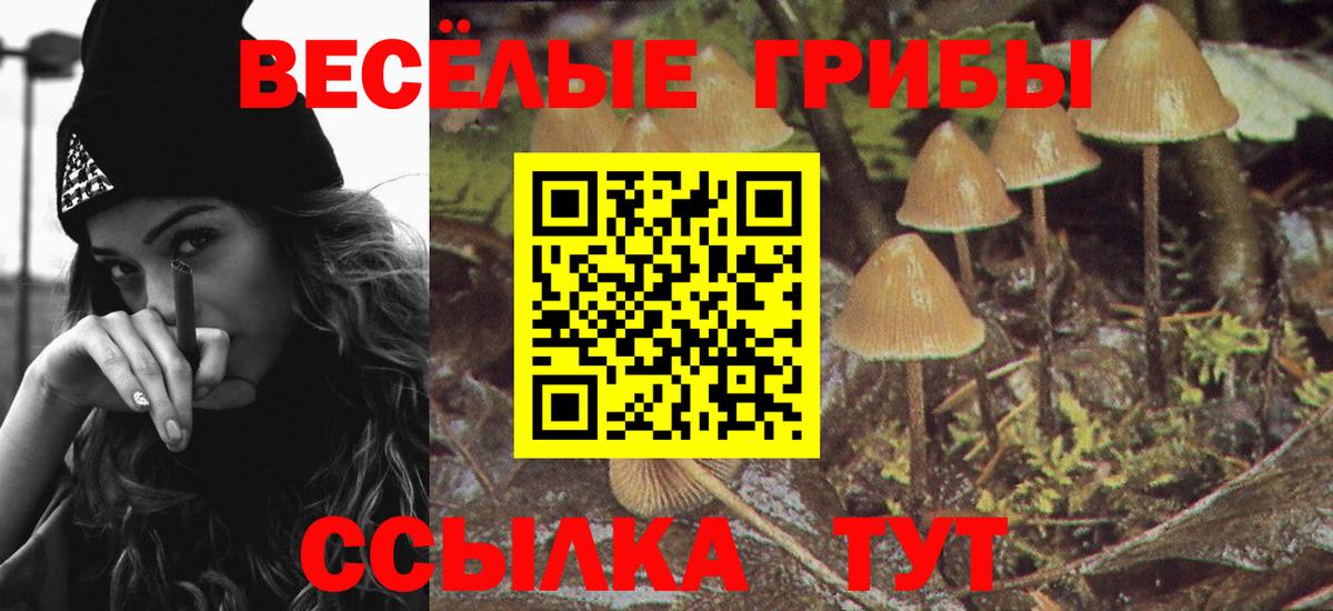 Мурманск  Галлюциногенные грибы Psilocybine cubensis  Вход с VPN  цена наркотик  Псилоцибиновые грибы мицелий 